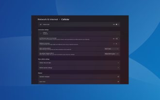 Comment réactiver les options cellulaires sur Windows 11