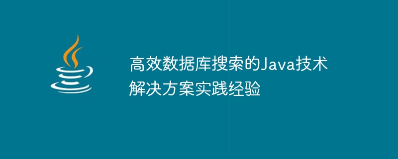 高效数据库搜索的java技术解决方案实践经验