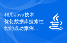 利用Java技术优化数据库搜索性能的成功案例解读