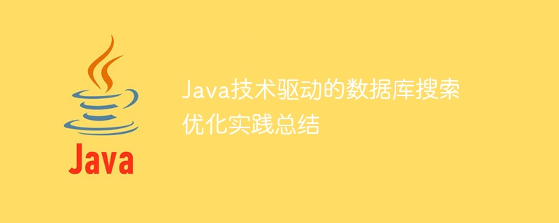 java技术驱动的数据库搜索优化实践总结