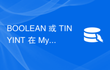 BOOLEAN 或 TINYINT 在 MySQL 中存储值？