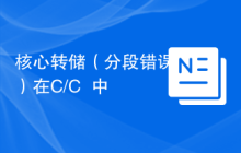 核心转储（分段错误）在C/C++中