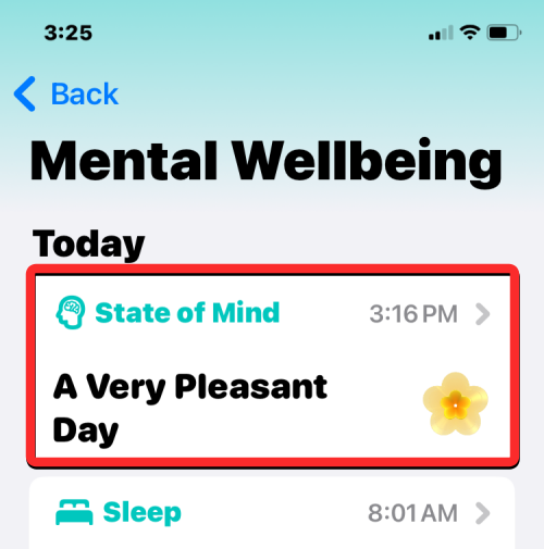 在iPhone上记录心态的方法：探索iOS 17上的健康应用程序