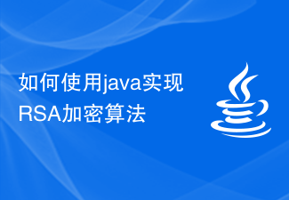 Comment implémenter l'algorithme de cryptage RSA à l'aide de Java