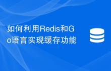 如何利用Redis和Go语言实现缓存功能