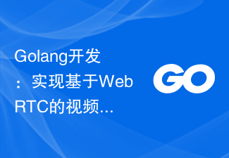 Golang开发:实现基于WebRTC的视频通话应用