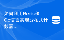 如何利用Redis和Go语言实现分布式计数器功能