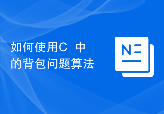 如何使用C++中的背包问题算法