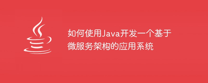 如何使用java开发一个基于微服务架构的应用系统