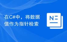 在C#中，将数据值作为指针检索