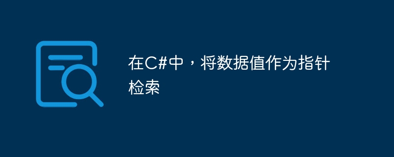 在c#中，将数据值作为指针检索