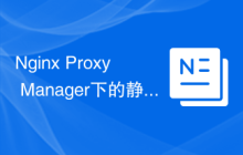 Nginx Proxy Manager下的静态文件缓存与压缩优化