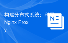 构建分布式系统：利用Nginx Proxy Manager实现服务发现与路由