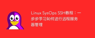 linux sysops ssh教程：一步步学习如何进行远程服务器管理