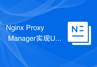 Nginx Proxy Manager实现URL重定向的配置指南