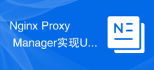 Guide de configuration de Nginx Proxy Manager pour la mise en œuvre de la redirection d'URL
