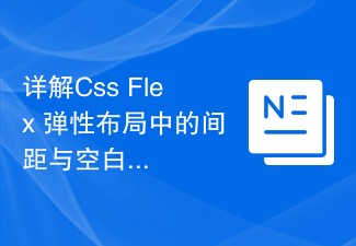 Explication détaillée des méthodes de traitement de l'espacement et des espaces blancs dans la mise en page flexible CSS Flex