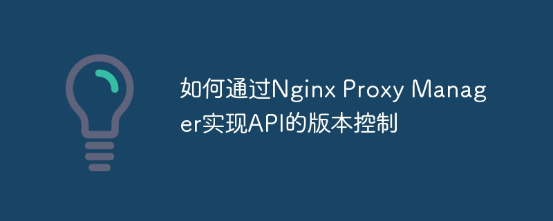 如何通過(guò)Nginx Proxy Manager實(shí)現(xiàn)API的版本控制-小浪學(xué)習(xí)網(wǎng)