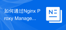 Bagaimana untuk melaksanakan kawalan versi API melalui Pengurus Proksi Nginx