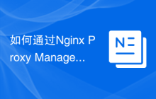 如何通过Nginx Proxy Manager实现API的版本控制