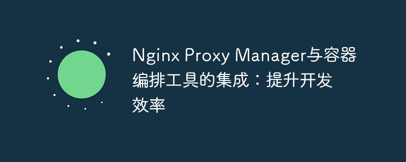 Nginx Proxy Manager與容器編排工具的集成：提升開發(fā)效率-小浪學(xué)習(xí)網(wǎng)