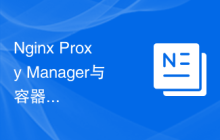 Nginx Proxy Manager与容器编排工具的集成：提升开发效率