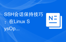 SSH会话保持技巧：在Linux SysOps中实现长时间远程管理