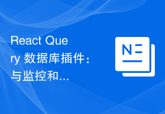 Plug-in de base de données React Query : pratique d'intégration avec les systèmes de surveillance et d'alarme