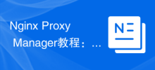 Tutoriel Nginx Proxy Manager : Guide de démarrage rapide