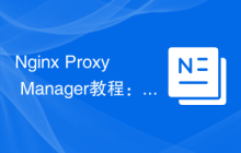 Nginx Proxy Manager教程：快速入门指南