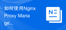 Comment utiliser Nginx Proxy Manager pour implémenter la configuration d'hôte virtuel basée sur le nom de domaine