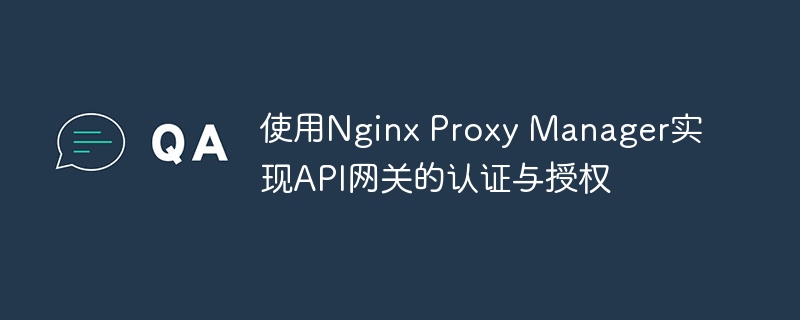 使用Nginx Proxy Manager实现API网关的认证与授权