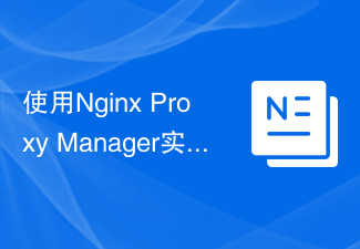 使用Nginx Proxy Manager实现API网关的认证与授权