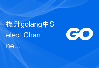 Golang での Select Channels Go 同時プログラミングの効率を向上させる方法