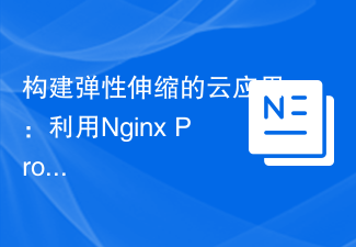 构建弹性伸缩的云应用：利用Nginx Proxy Manager实现自动扩容