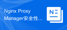 Analyse et protection de la sécurité de Nginx Proxy Manager