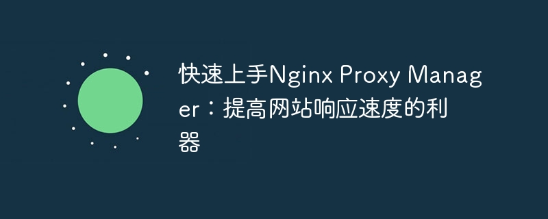 快速上手Nginx Proxy Manager：提高网站响应速度的利器