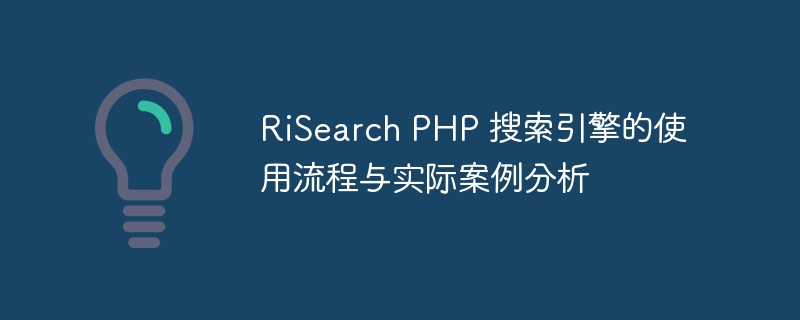 risearch php 搜索引擎的使用流程与实际案例分析