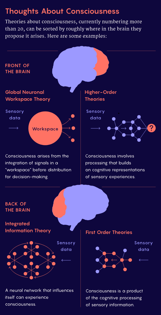 20多种意识理论的争论仍未有定论:五年过去了,没有一个理论能够占据主导地位