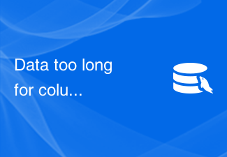 Data too long for column 'column_name' - How to solve MySQL error: data exceeds field length