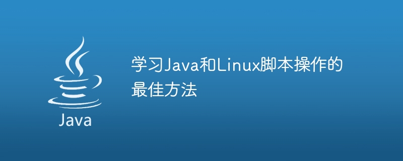 The best way to learn Java and Linux scripting
