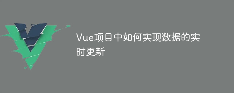 vue项目中如何实现数据的实时更新