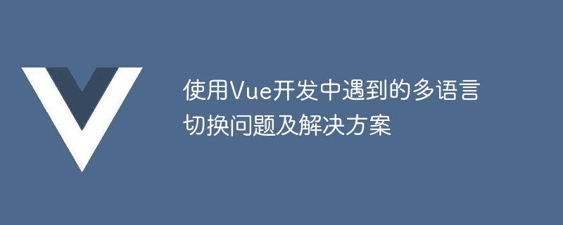 Vue 개발에서 발생하는 다중 언어 전환 문제 및 해결 방법