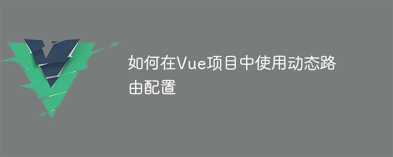 如何在Vue專案中使用動態路由配置