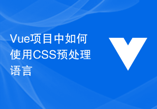 Vue项目中如何使用CSS预处理语言