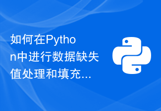 Meilleures pratiques et choix d'algorithmes pour gérer et remplir les données manquantes en Python