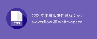 CSS 文本排版属性详解:text-overflow 和 white-space