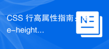 CSS 行高属性指南：line-height 和 vertical-align