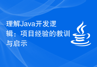 理解Java开发逻辑：项目经验的教训与启示