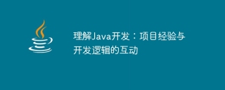理解java开发：项目经验与开发逻辑的互动